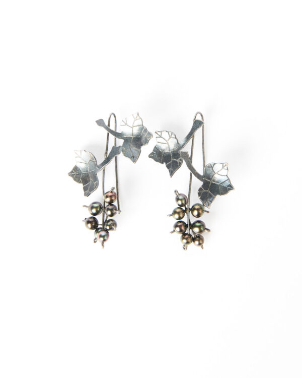 The earrings Im truly serious!